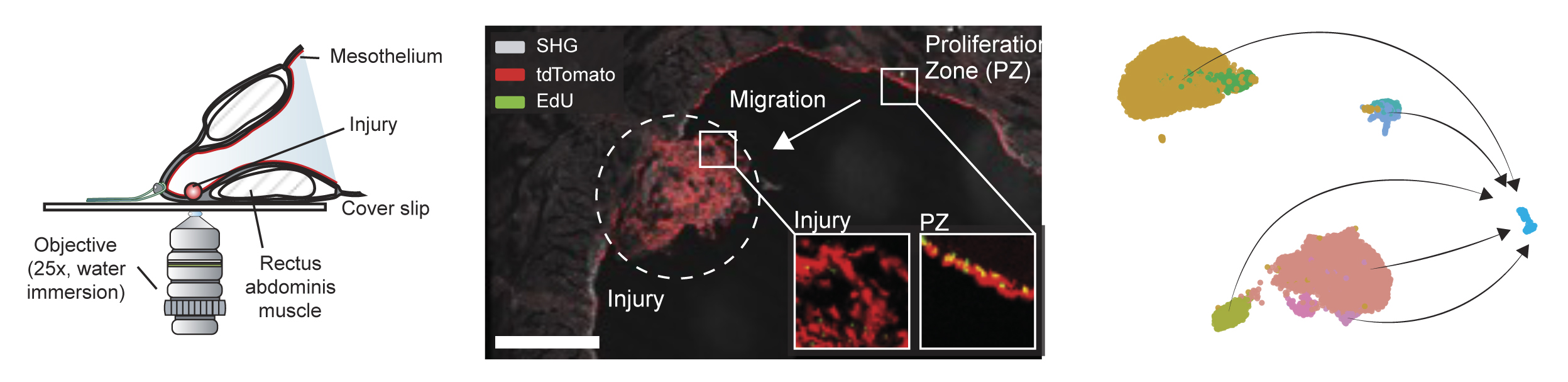 ZinderlResearch